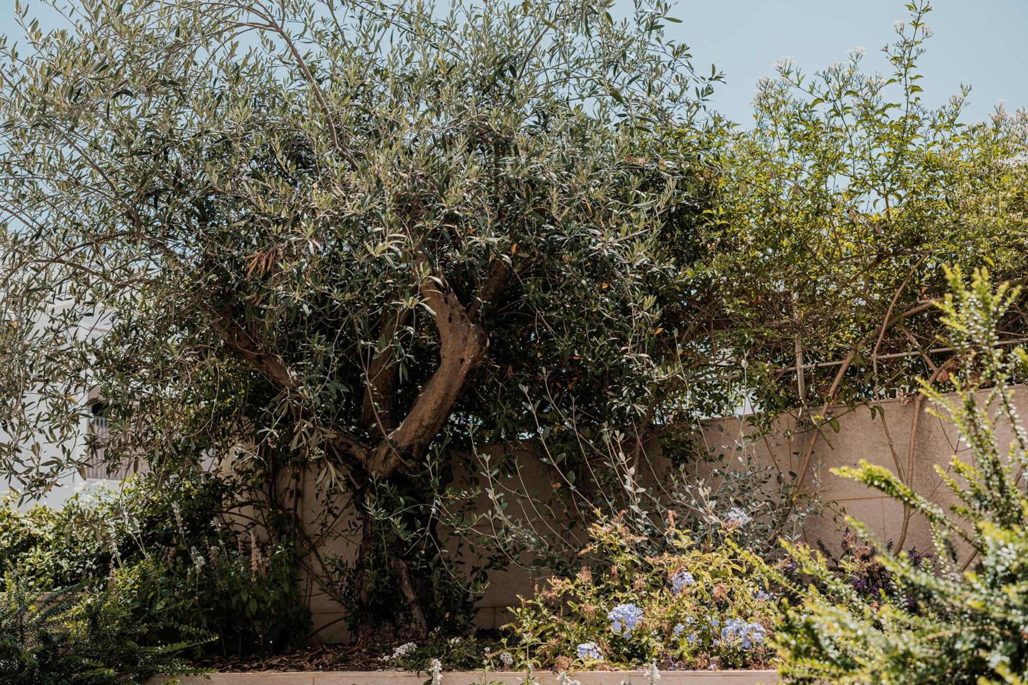 Olea Boutique Suites Polignano Полиньяно-а-Маре Экстерьер фото