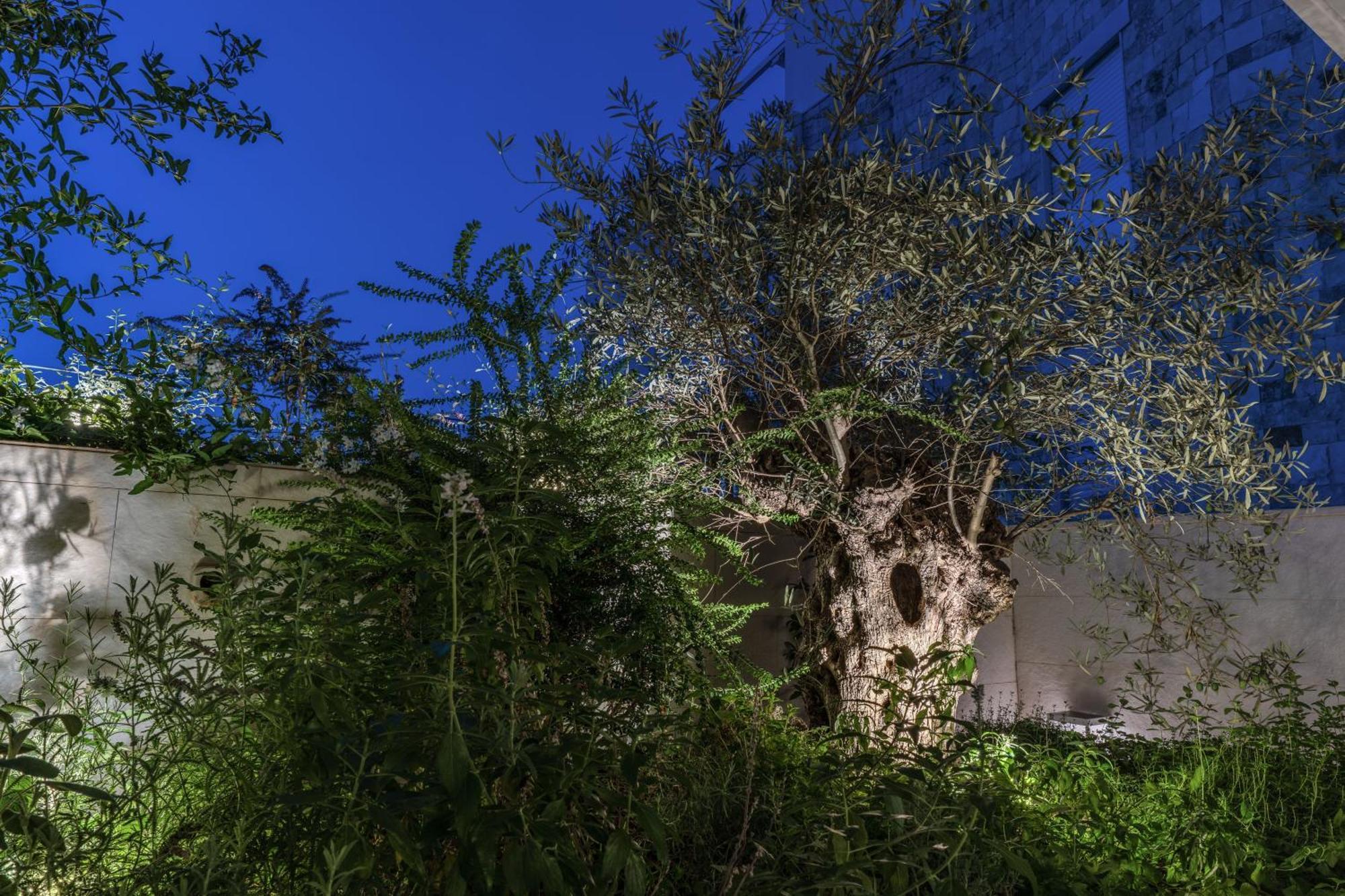 Olea Boutique Suites Polignano Полиньяно-а-Маре Экстерьер фото
